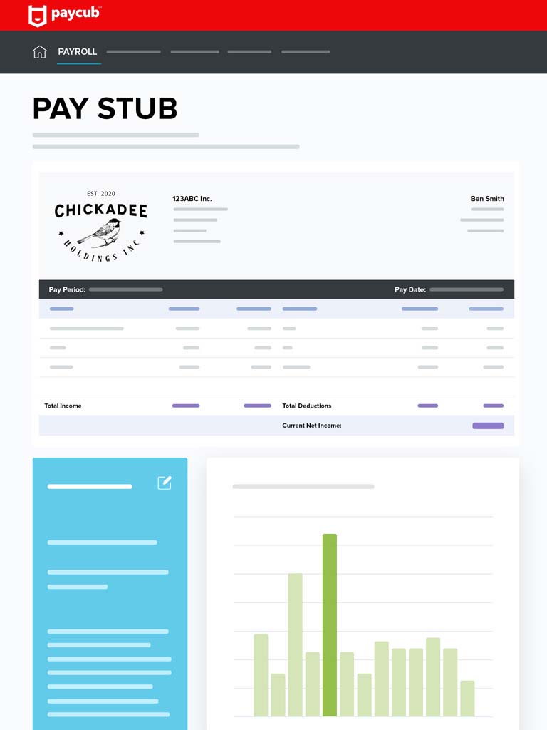 Pay Stub